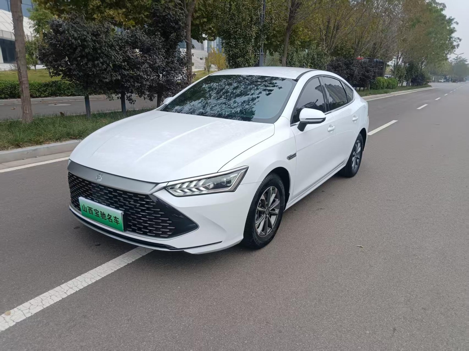 2024 BYD Qin Plus DM-i — photo 1